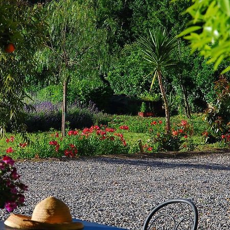 Agriturismo Coppi Rossi Torrazza  Exterior photo